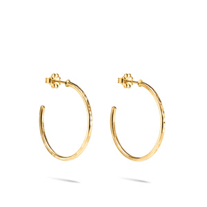 Open hoop studs in hammer textured 14K gold fill by Mikel Grant Jewellery.